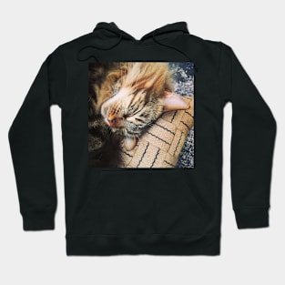 Sleepy kitty Hoodie